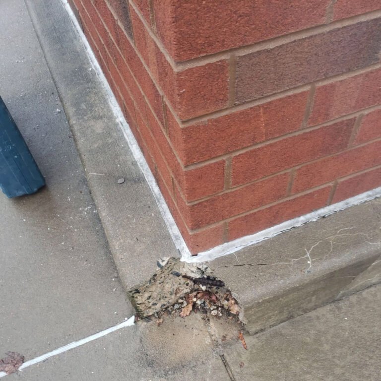 1 jan 25 2024 13 49 28 tkbt.png